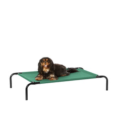 Cama elevada Amazon Basics para perros pequeños en verde, descanso cómodo.