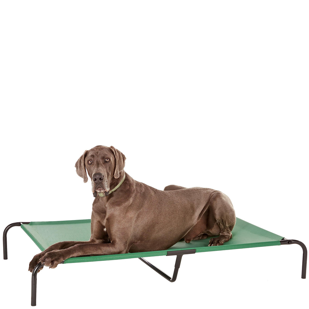 Amazon Basics cama elevada para perros con diseño aireado en verde