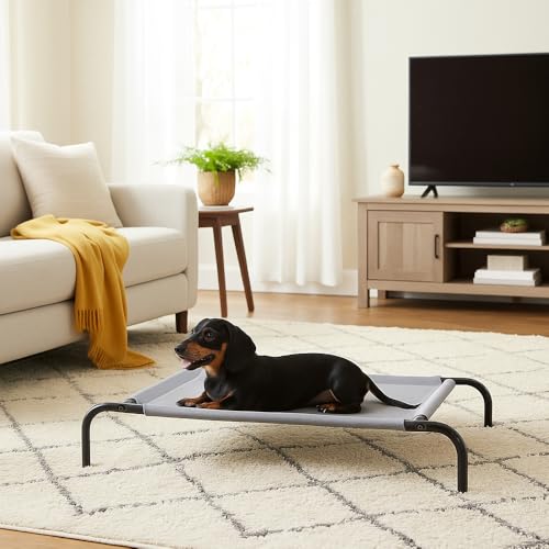 Acabado gris y detalles modernos de la cama para perros pequeños