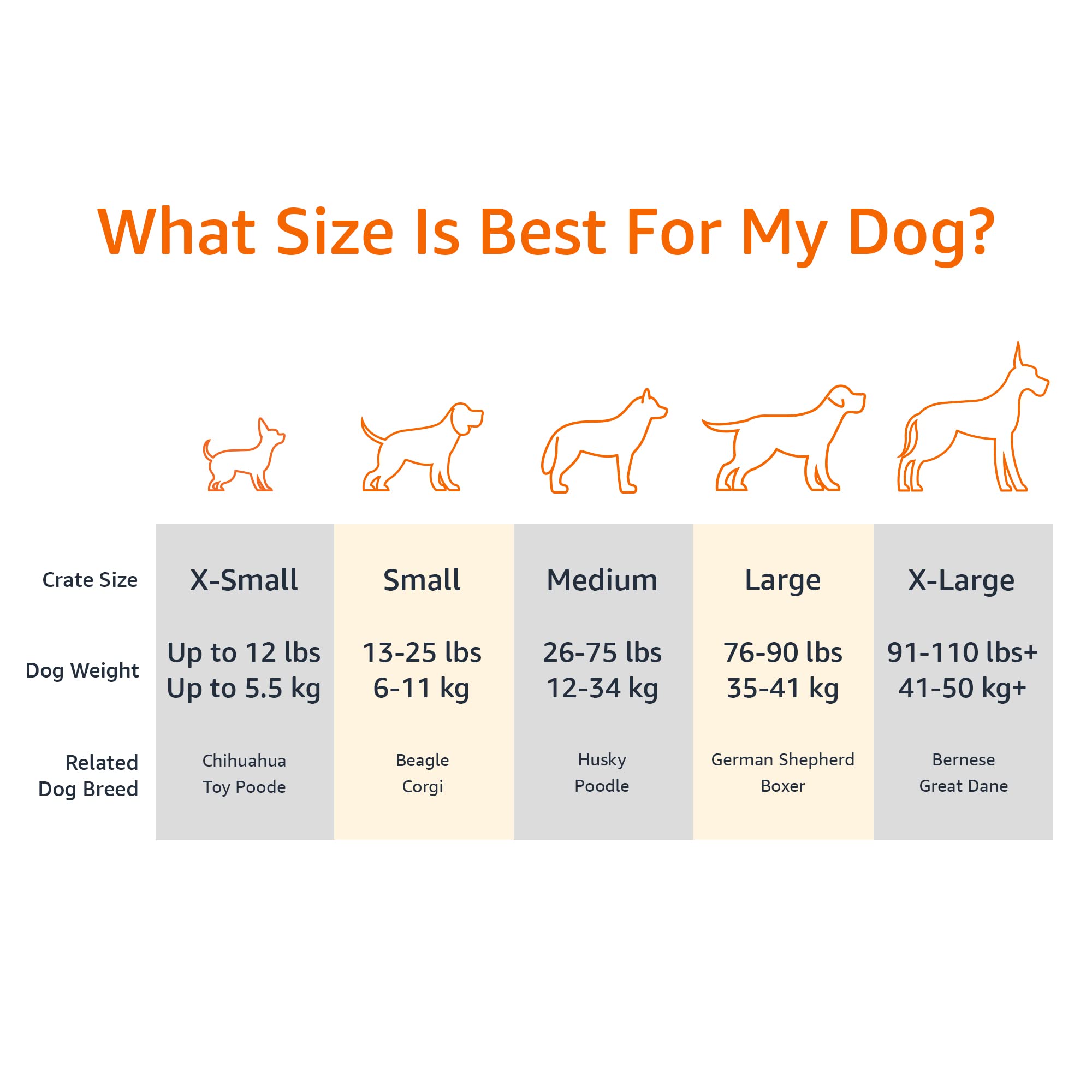 Amazon Basics cama perro elevada con marco duradero brinda soporte estable.