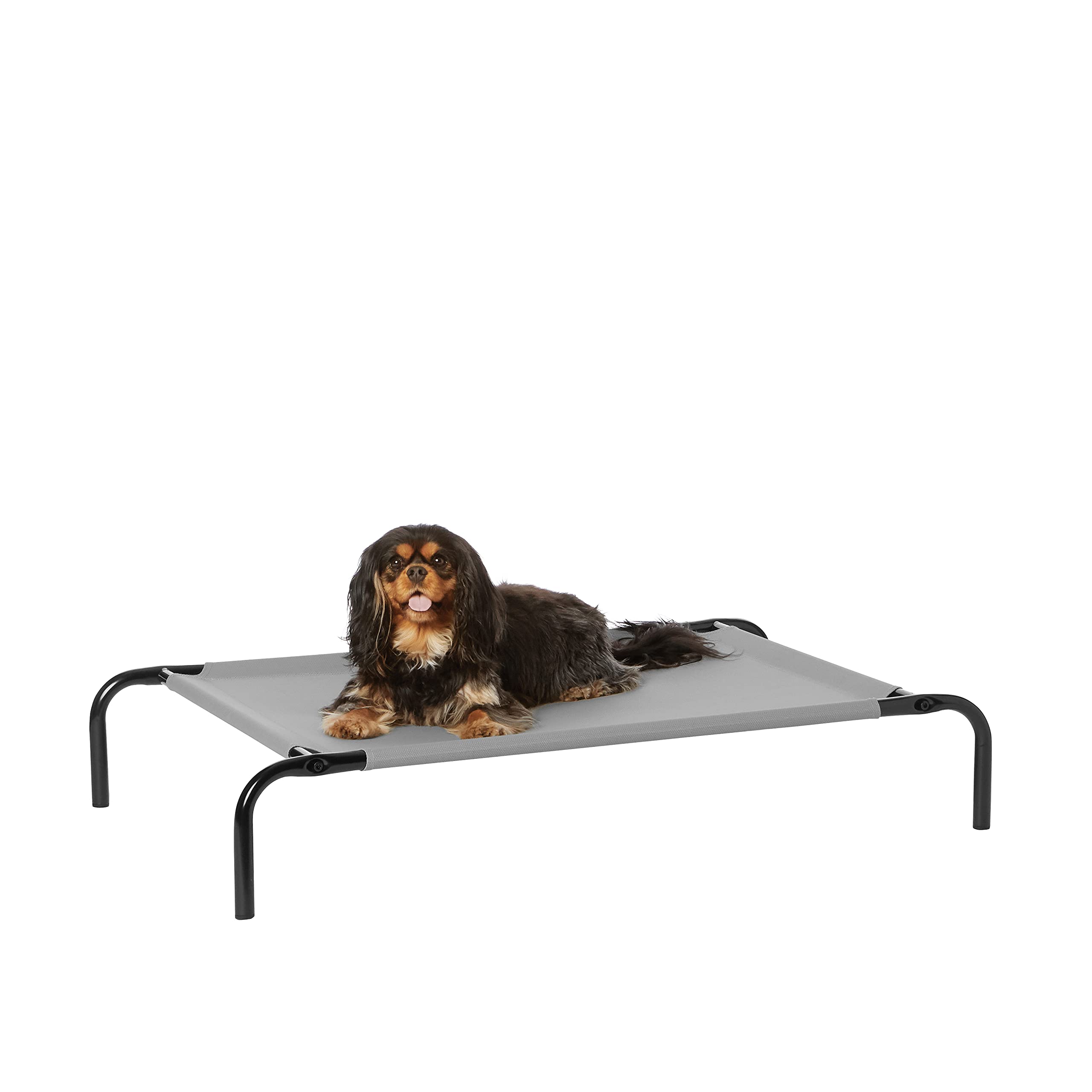 Cama elevada Amazon Basics para perros pequeños en gris, diseño ventilado para mayor comodidad