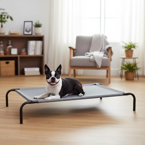 Amazon Basics ofrece una cama para perros grandes con estructura elevada.