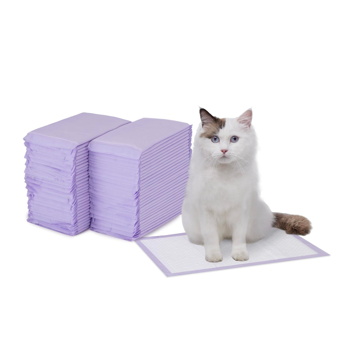 Amazon Basics tapete para gatos con absorción superior para jaula o caja de arena.