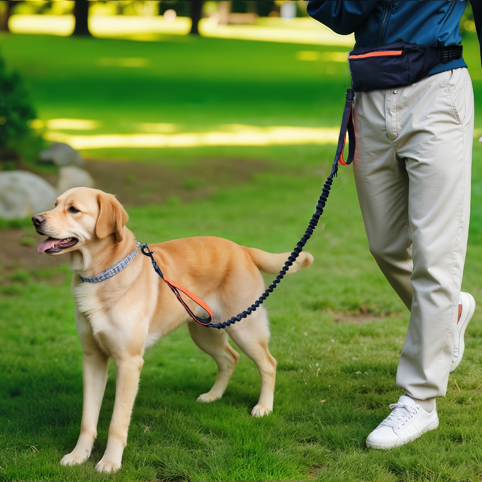 Amazon Basics diseño pensado para perros de hasta 150 libras.