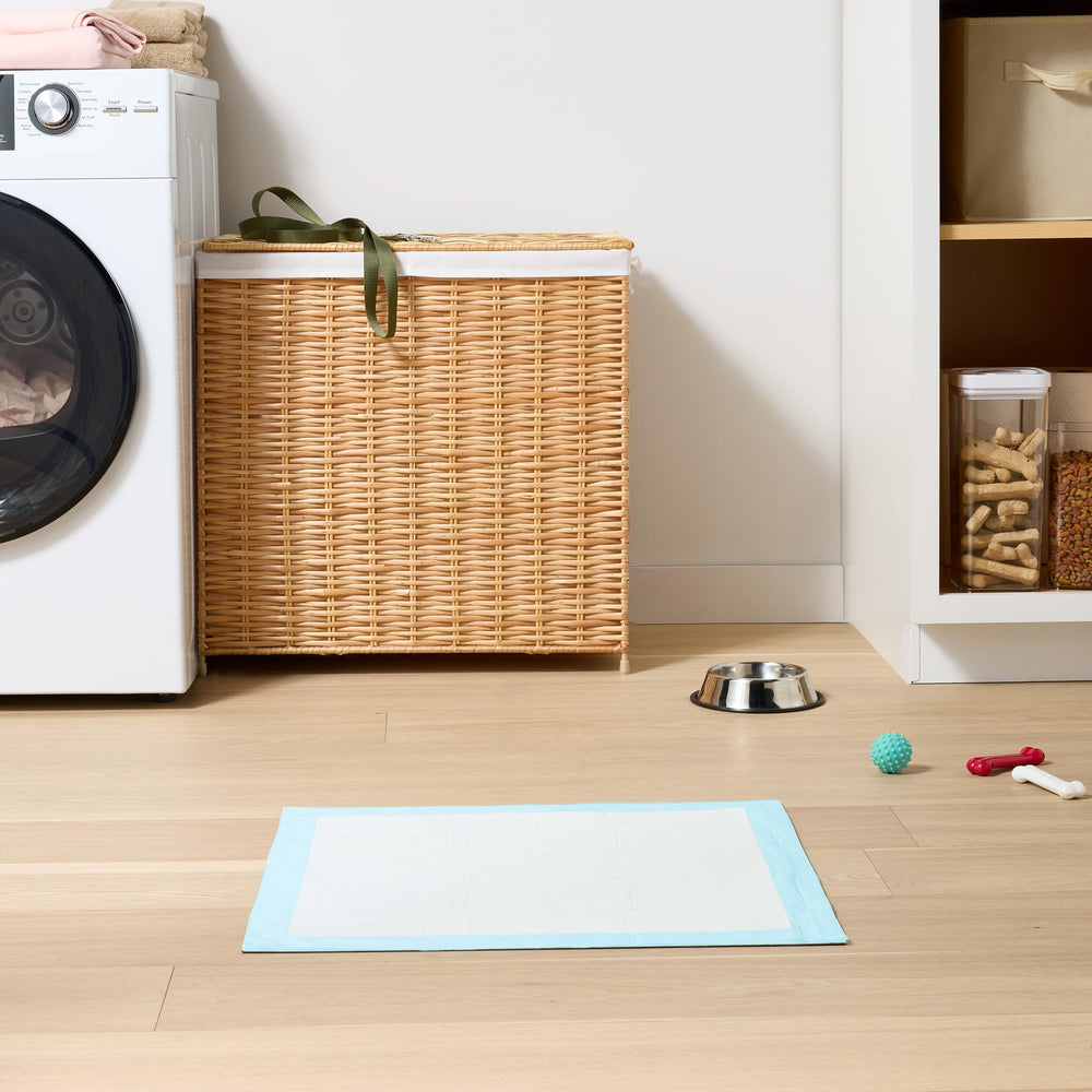 Empaque de 60 almohadillas Amazon Basics para entrenamiento en casa