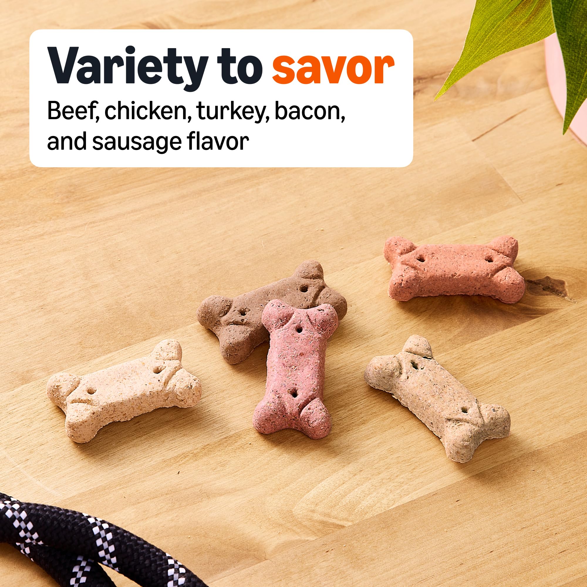 Amazon Basics envase 5 lb galletas para perros, fácil de almacenar.