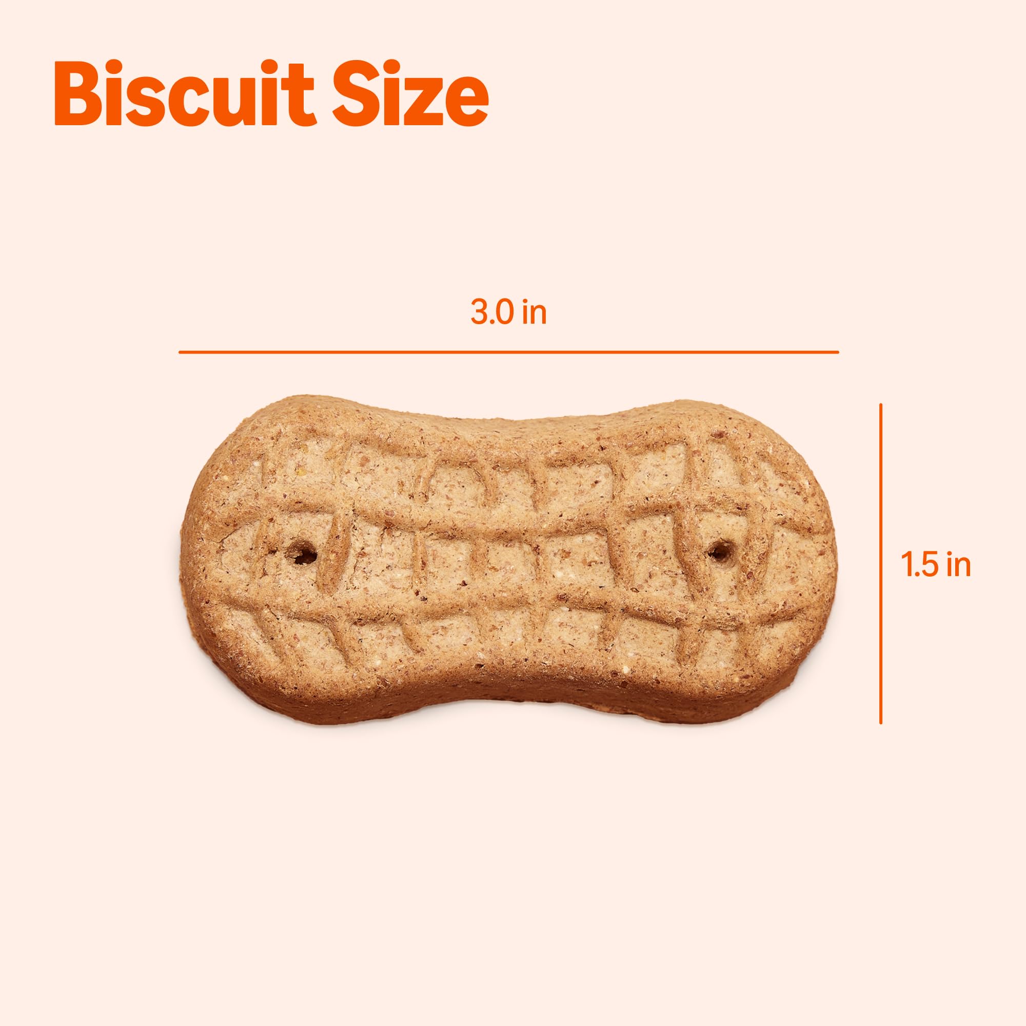 Galletas de mantequilla de maní Amazon Basics, horneadas para textura crujiente.