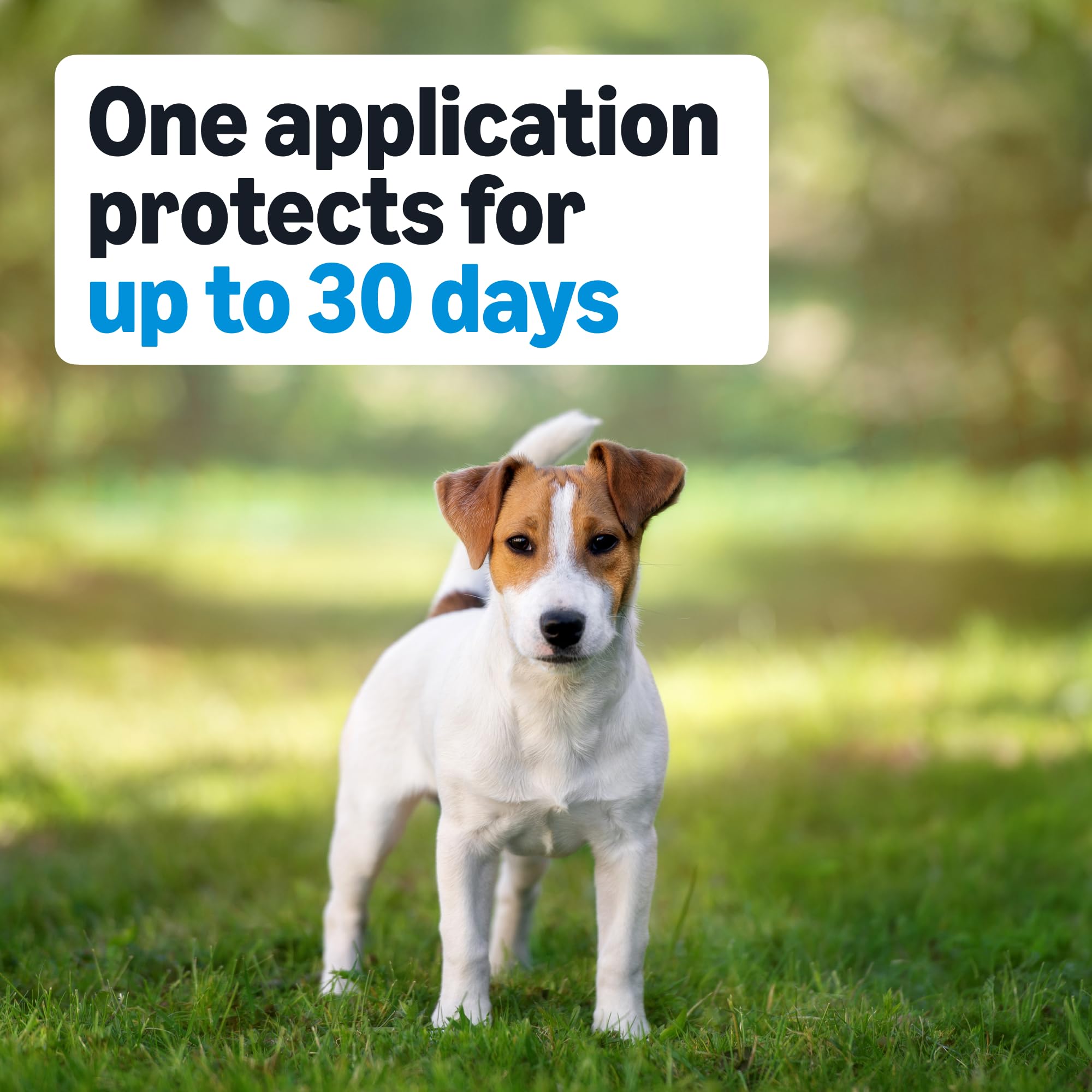Amazon Basics ingredientes activos, acción contra pulgas y mosquitos.
