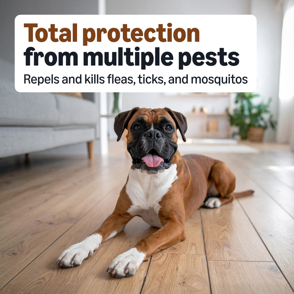 Amazon Basics ingredientes activos imidacloprid, permetrina y piriproxifen para control.
