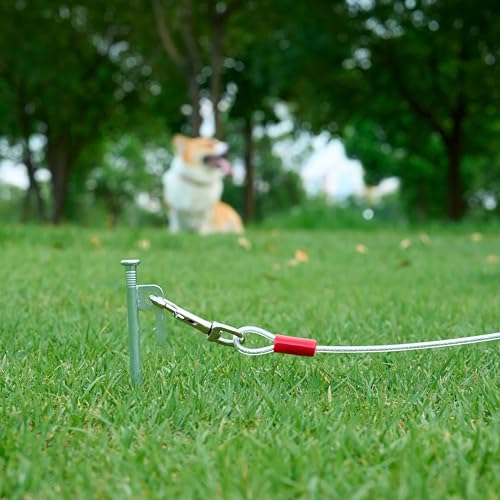 Amazon Basics cable de 25 pies para paseos al aire libre.