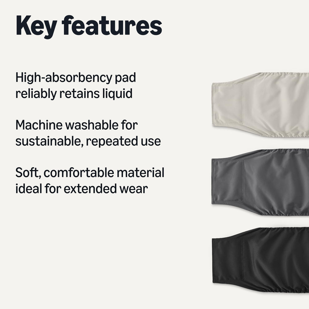 Pañales Amazon Basics para perro macho – dorso, absorción fiable.