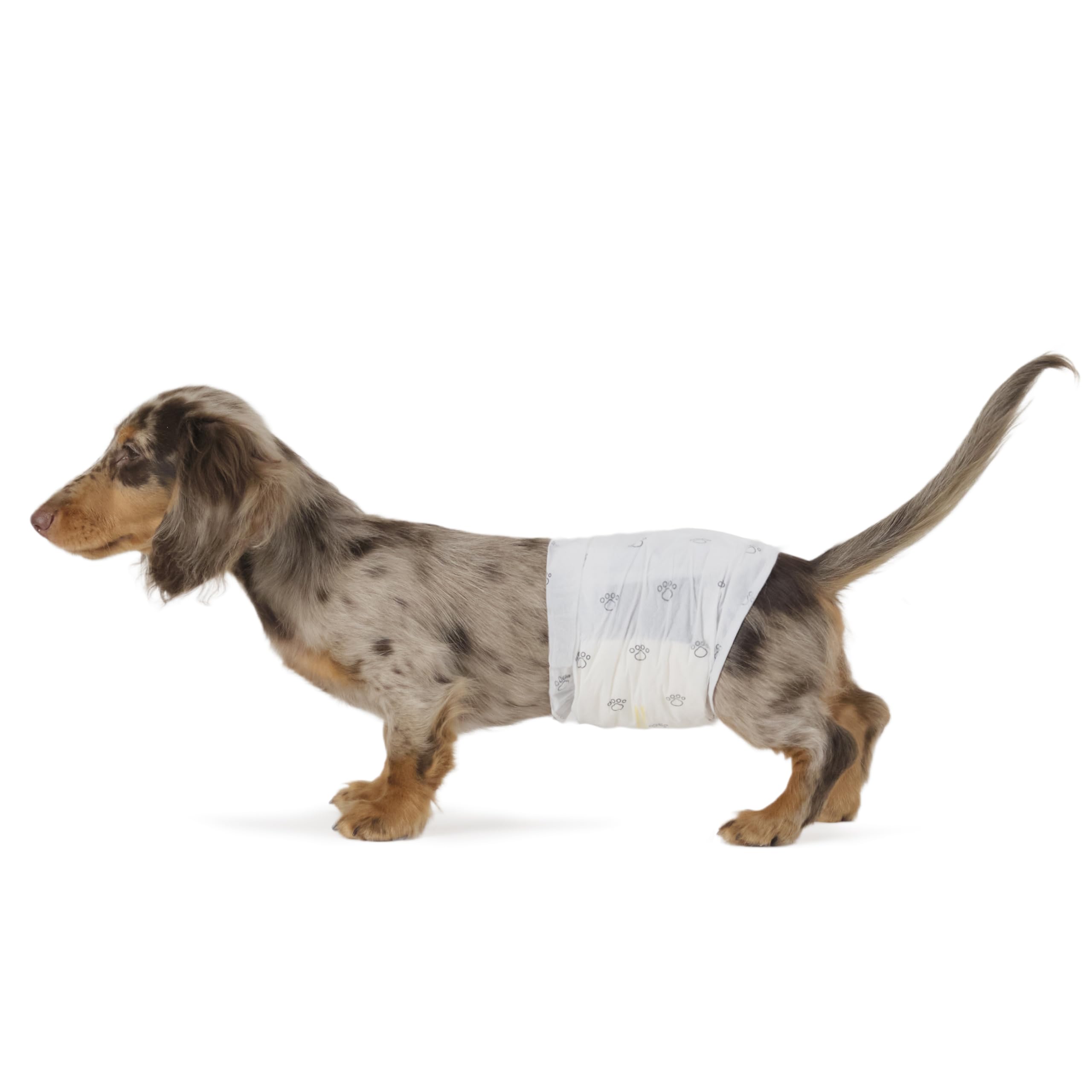 Pañales Amazon Basics para perro macho absorbentes para protección fiable