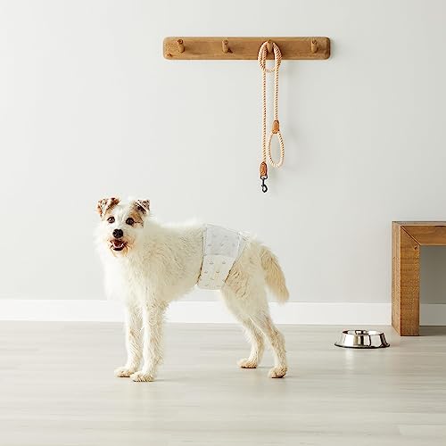 Paquetes FSC certificados en pañales para perro macho Amazon Basics.