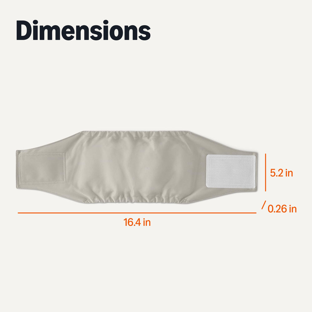 Pañales con medidas 16.4 por 5.2 pulgadas, adecuado para perro macho talla S de Amazon Basics.