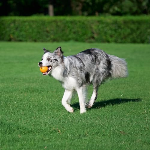 Pelotas Amazon Basics aptas para lavavajillas, limpieza rápida y cómoda.