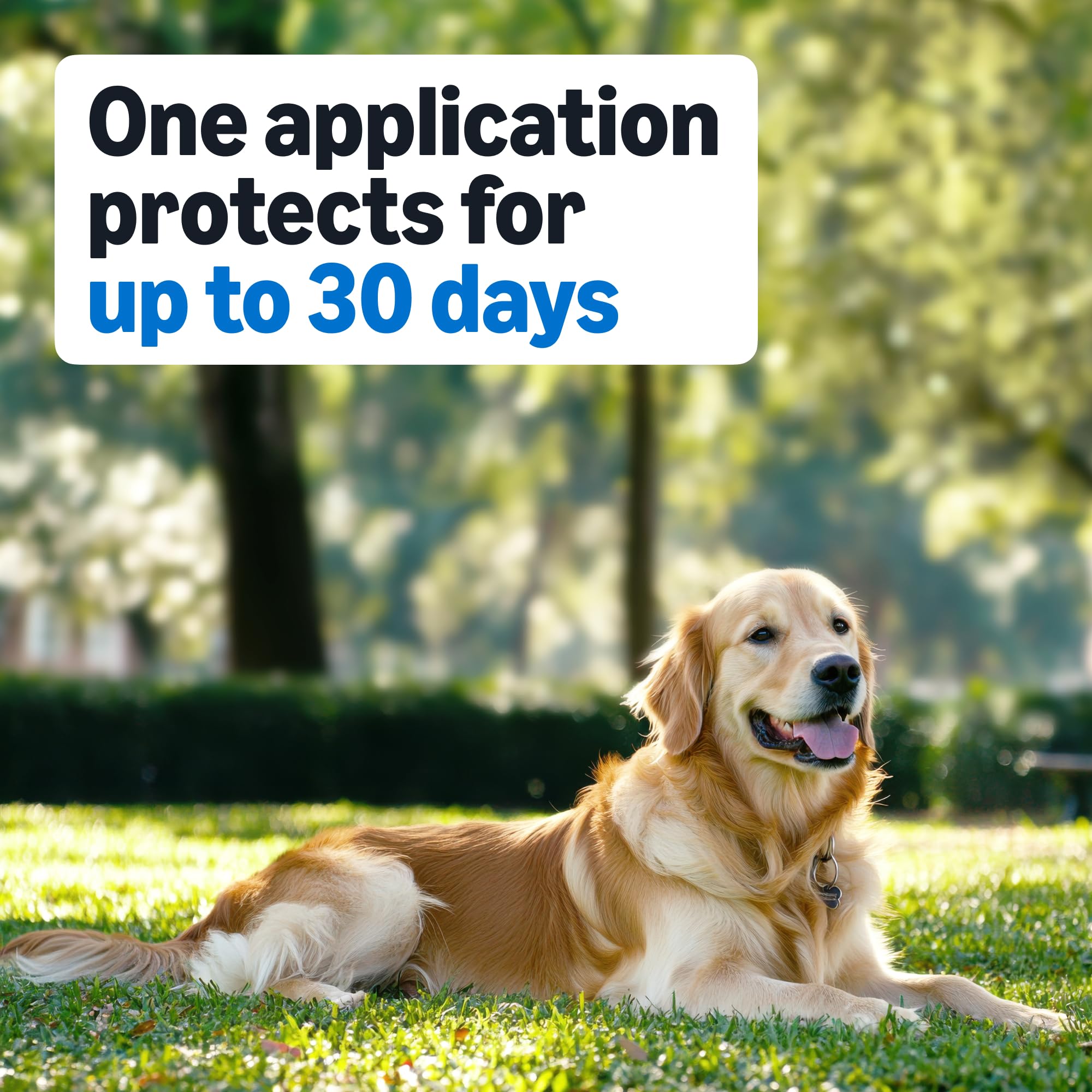 Protección de 30 días por dosis con Amazon Basics para perros