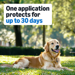 Protección de 30 días por dosis con Amazon Basics para perros