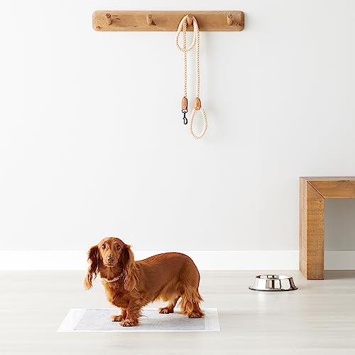 Paquete de 120 tapetes Amazon Basics para entrenamiento de perros.