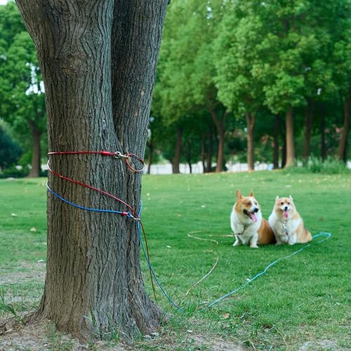 Amazon Basics uso diario con perros de hasta 60 lb, práctico y seguro.