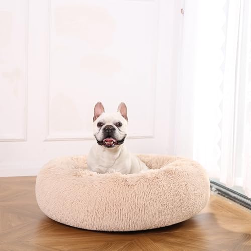 Cama para mascotas de Amazon Basics, ideal para descansar y relajarse en casa.