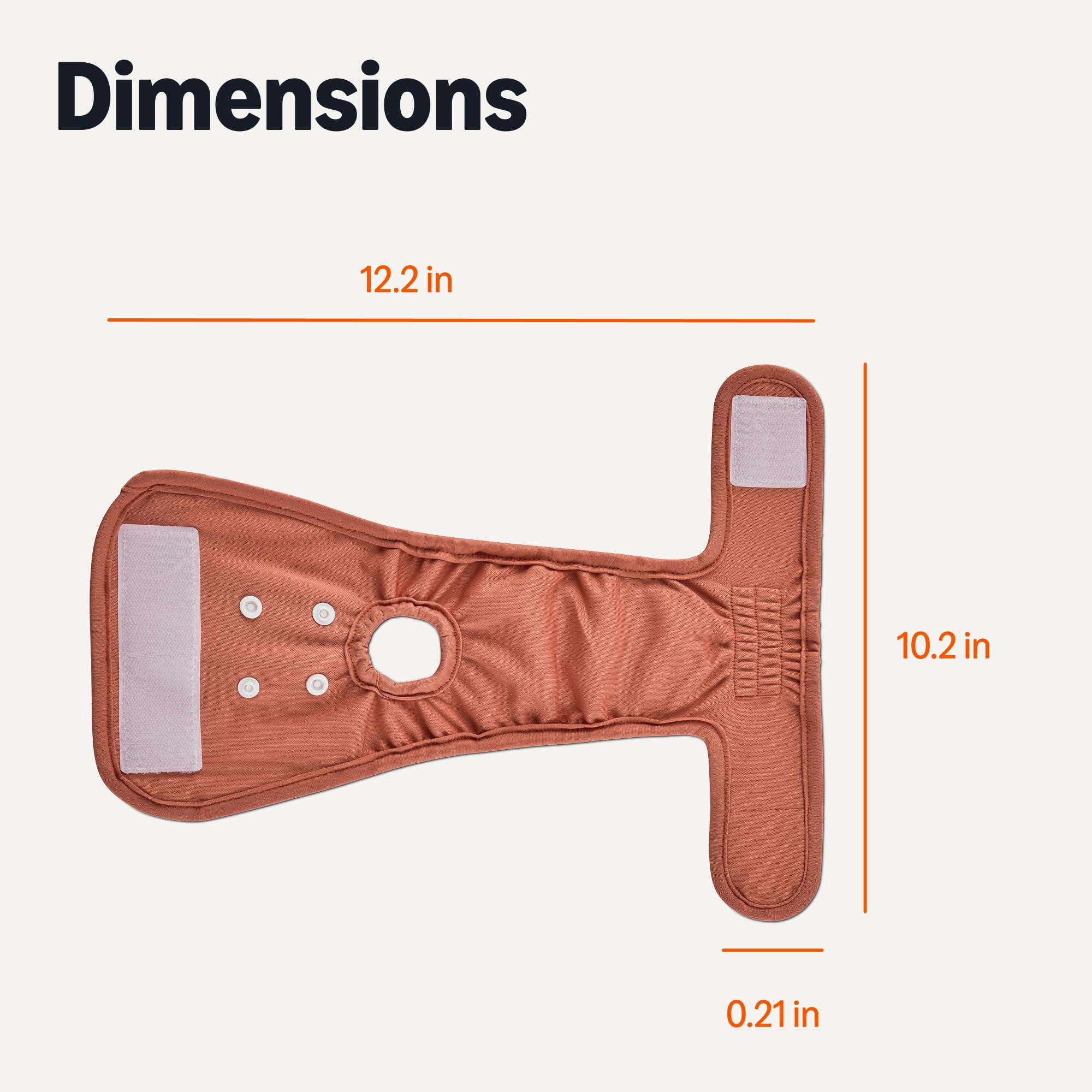 Amazon Basics dimensiones compactas permiten ajuste seguro en perros pequenos