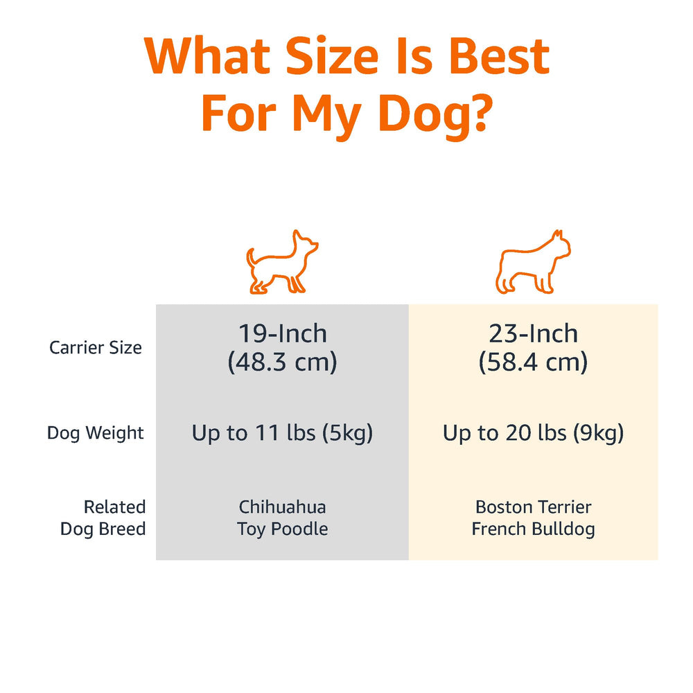 Caja plástica resistente ideal para viajes cortos de gatos y perros pequeños.