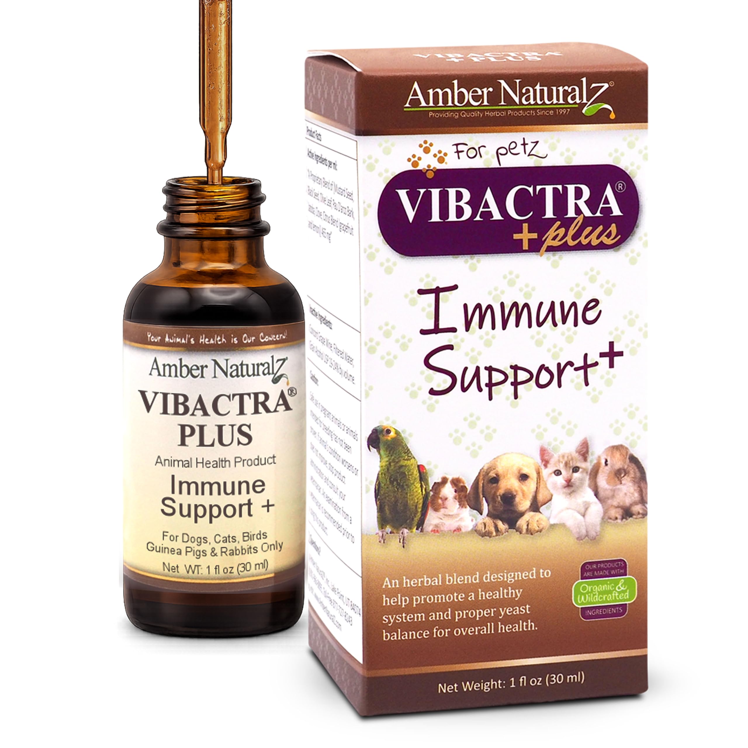 AMBER NATURALZ Vibactra Plus, botella de vidrio ámbar con gotero para dosificación fácil.