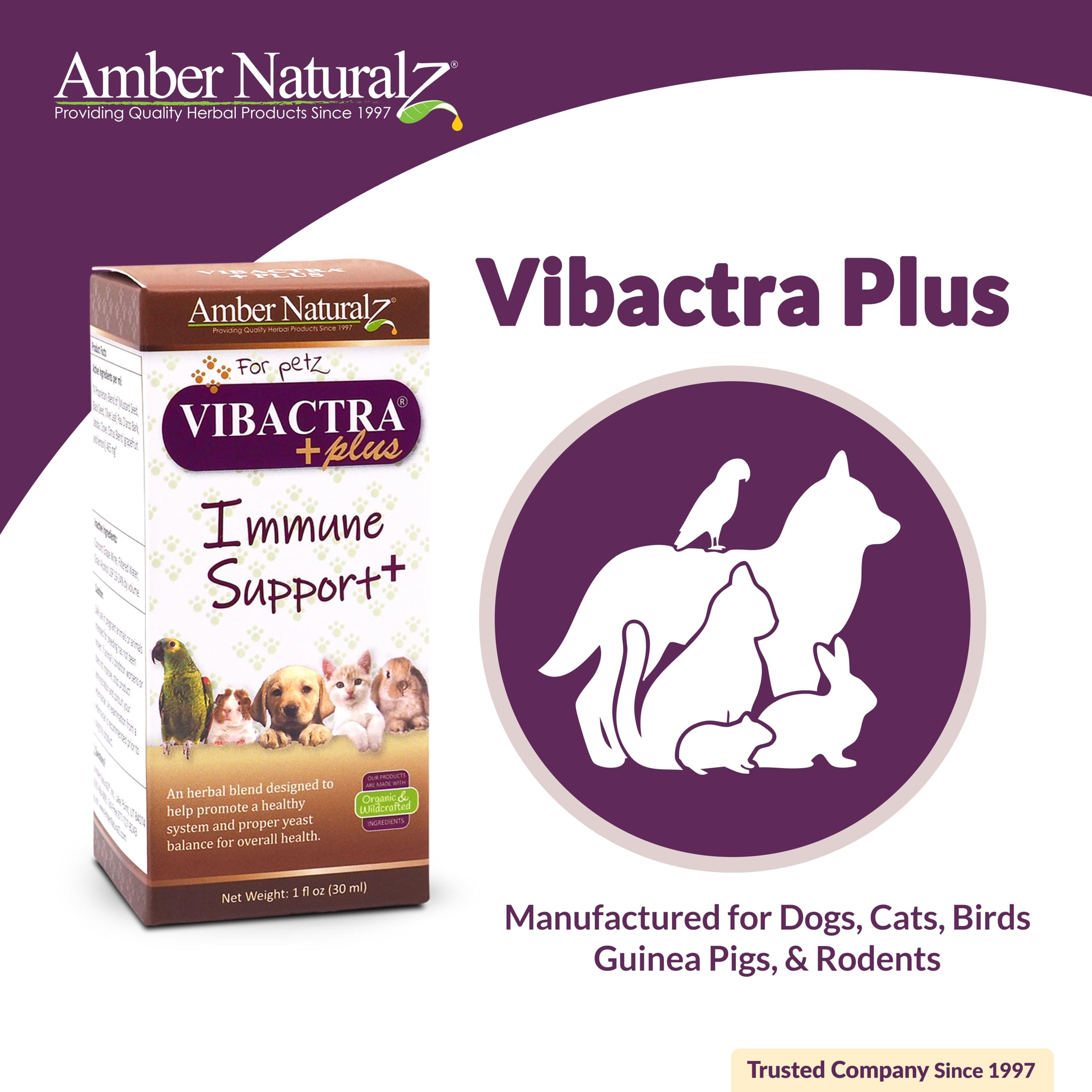 AMBER NATURALZ Vibactra Plus, ficha de instrucciones para dosificación clara.