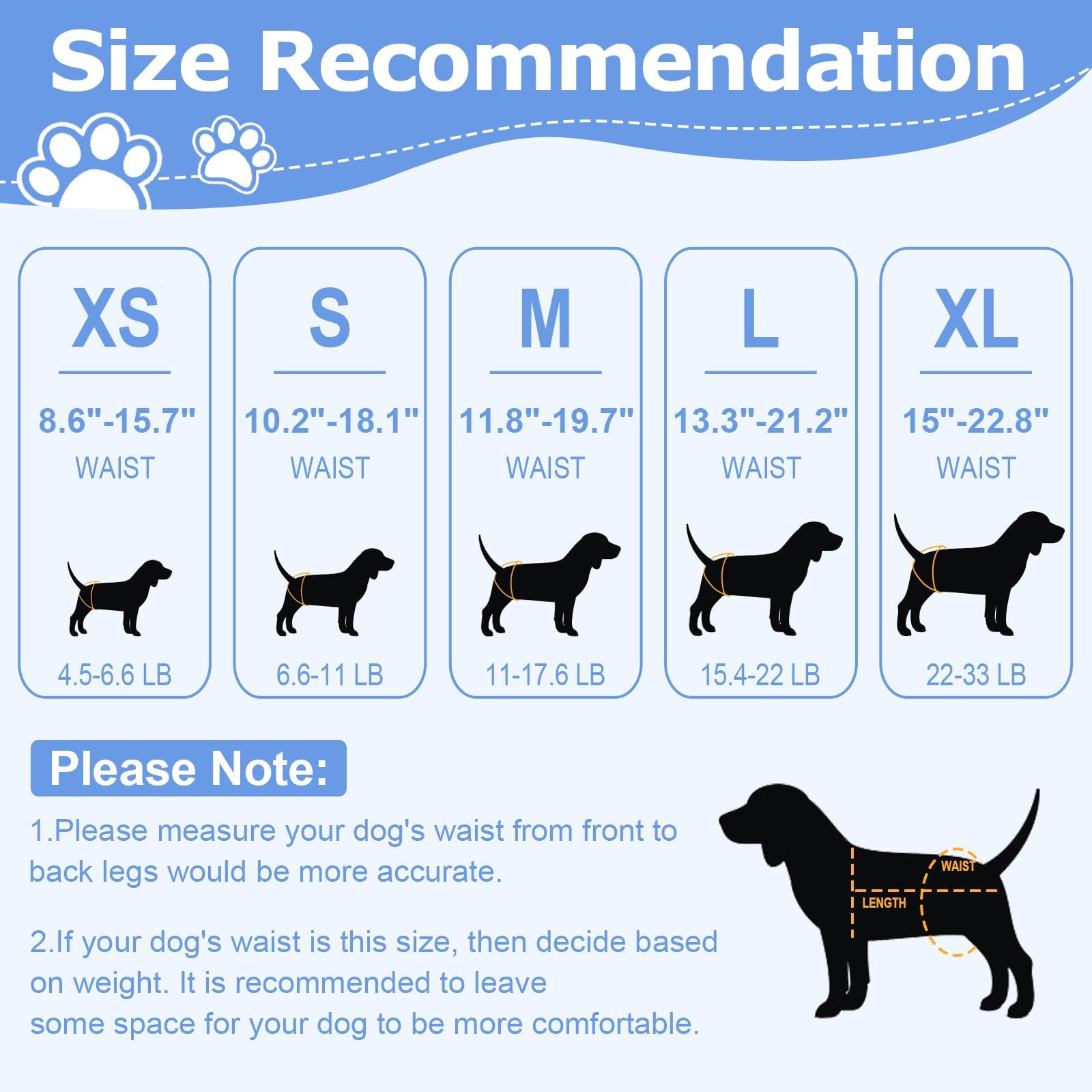 Ambreview pañales para perros en celo con absorción rápida y seguridad.