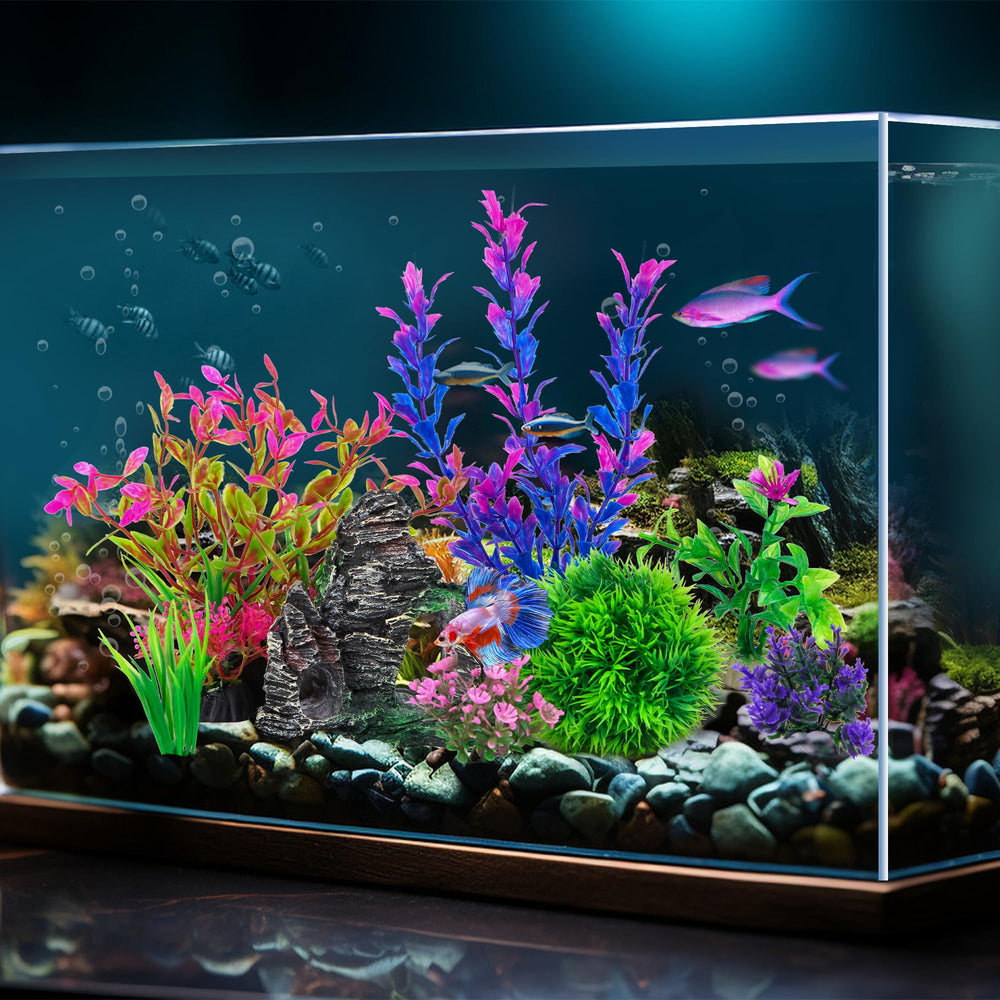 Ameliade acuario detalle hojas movimiento con agua