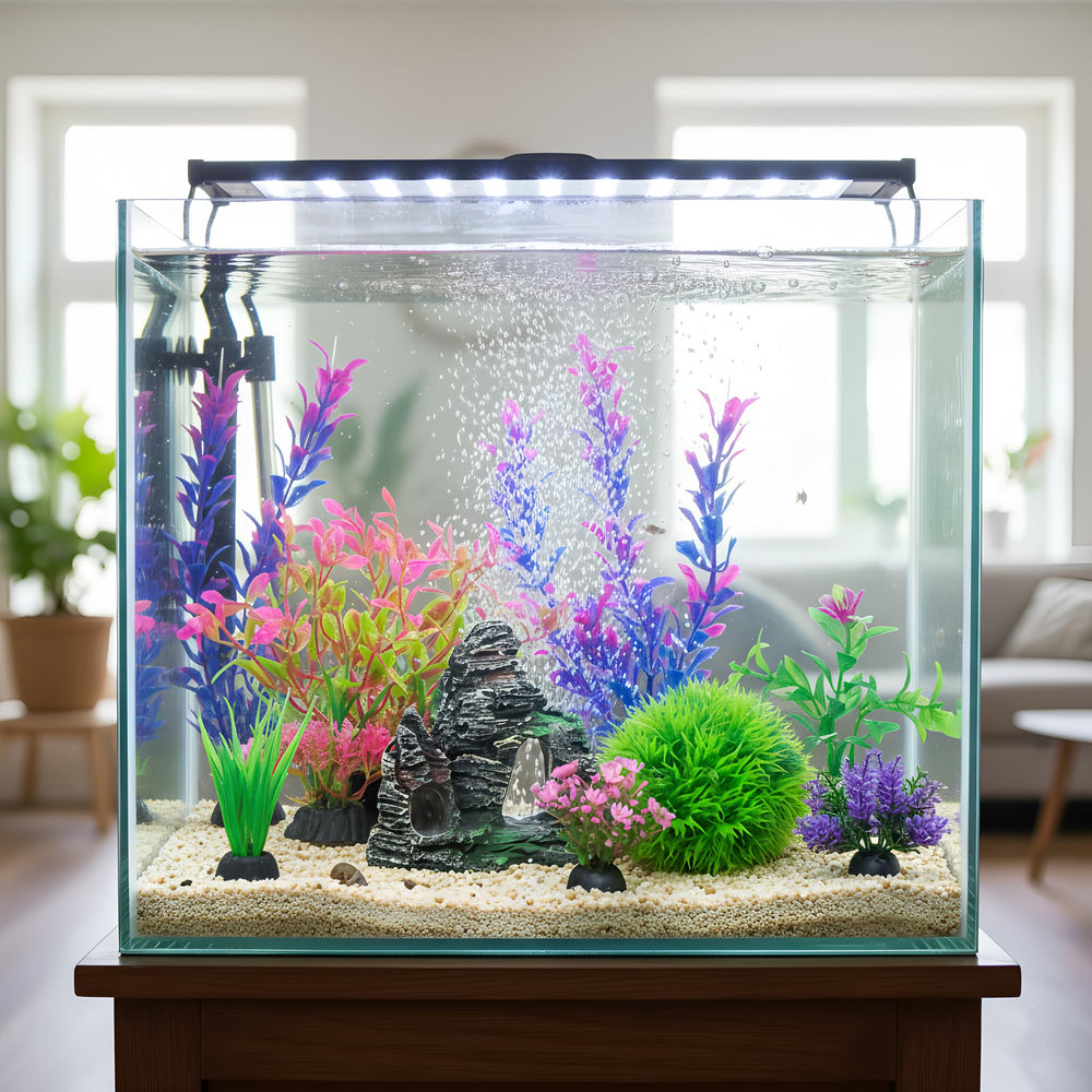 Ameliade acuario planta alta punto focal vertical