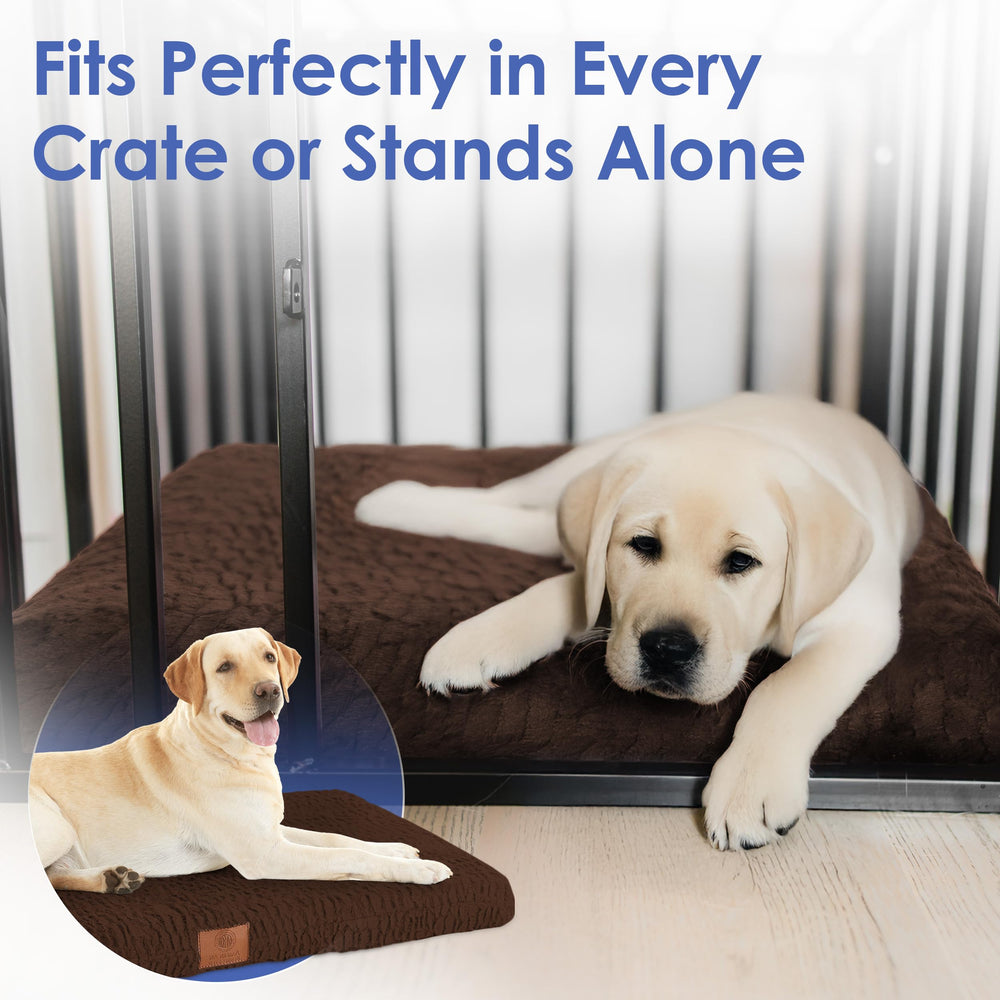 American Kennel Club: diseño neutro que combina con cualquier hogar.
