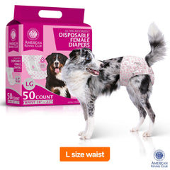 American Kennel Club pañal con cierre ajustable para un ajuste cómodo y seguro.