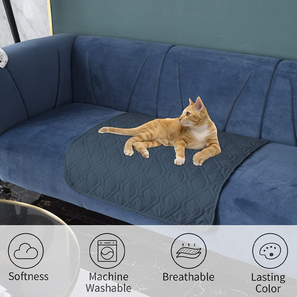 Ameritex protege muebles y mejora la convivencia con mascotas.