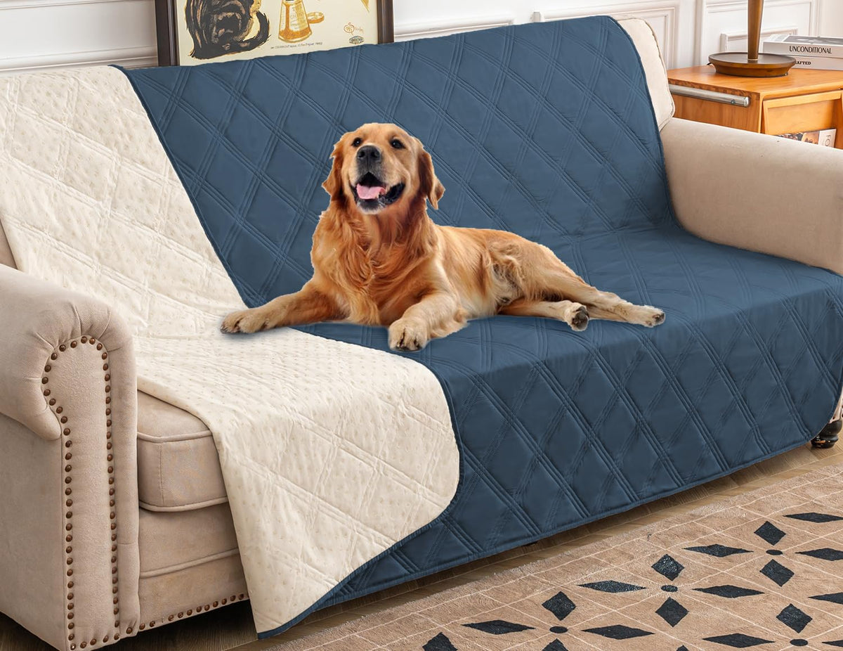 Ameritex funda impermeable para perro sobre sofá, protección contra manchas y líquidos.
