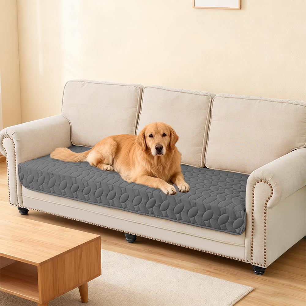 Ameritex mascota descansando sobre funda protectora en salón