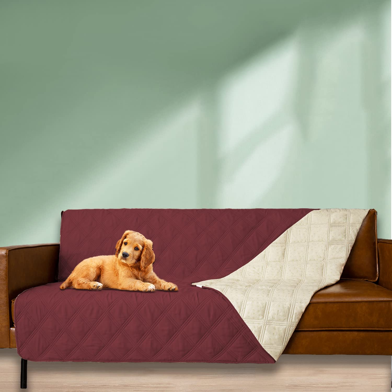 Ameritex ideal para sofás y camas, protegiendo espacios de tus mascotas.