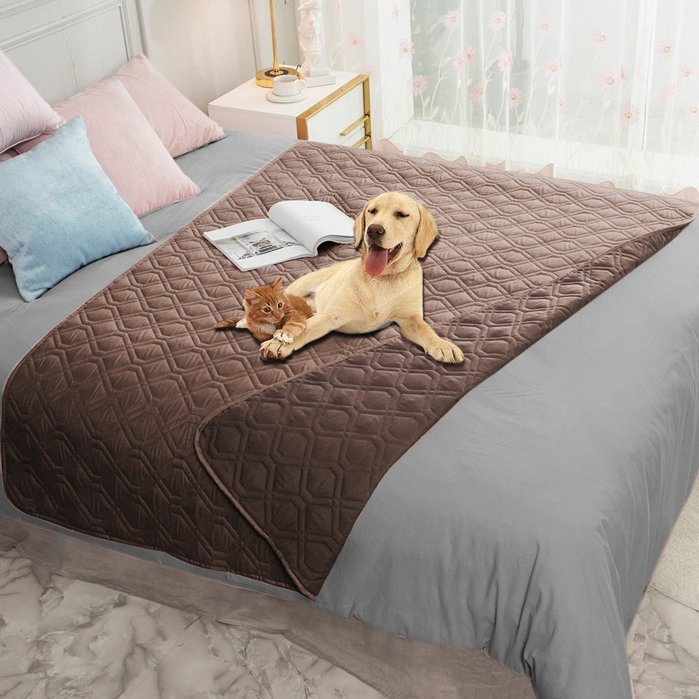 Ameritex protector impermeable para sofá, evita manchas y humedad.