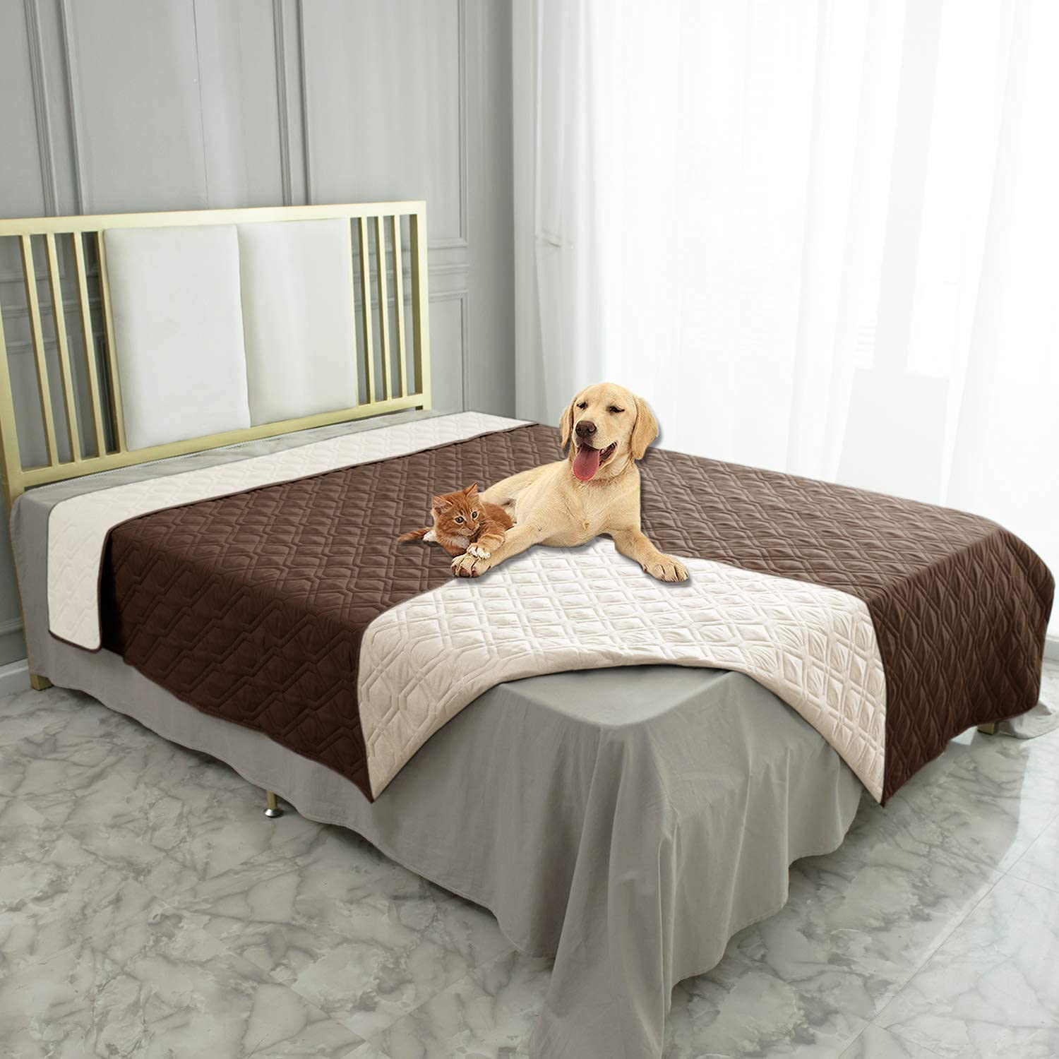 Ameritex textura suave y lujosa para mayor comodidad del peludo