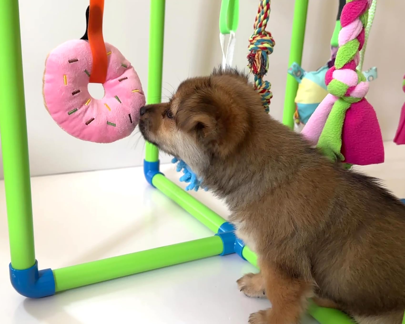 Amlmpet Puppy Play Gym: diseño duradero y sin bordes afilados para seguridad.