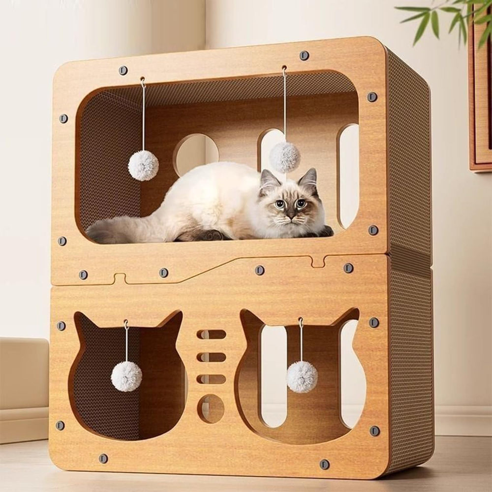 AMYESE regalo ideal para gatitos y mascotas pequeñas.