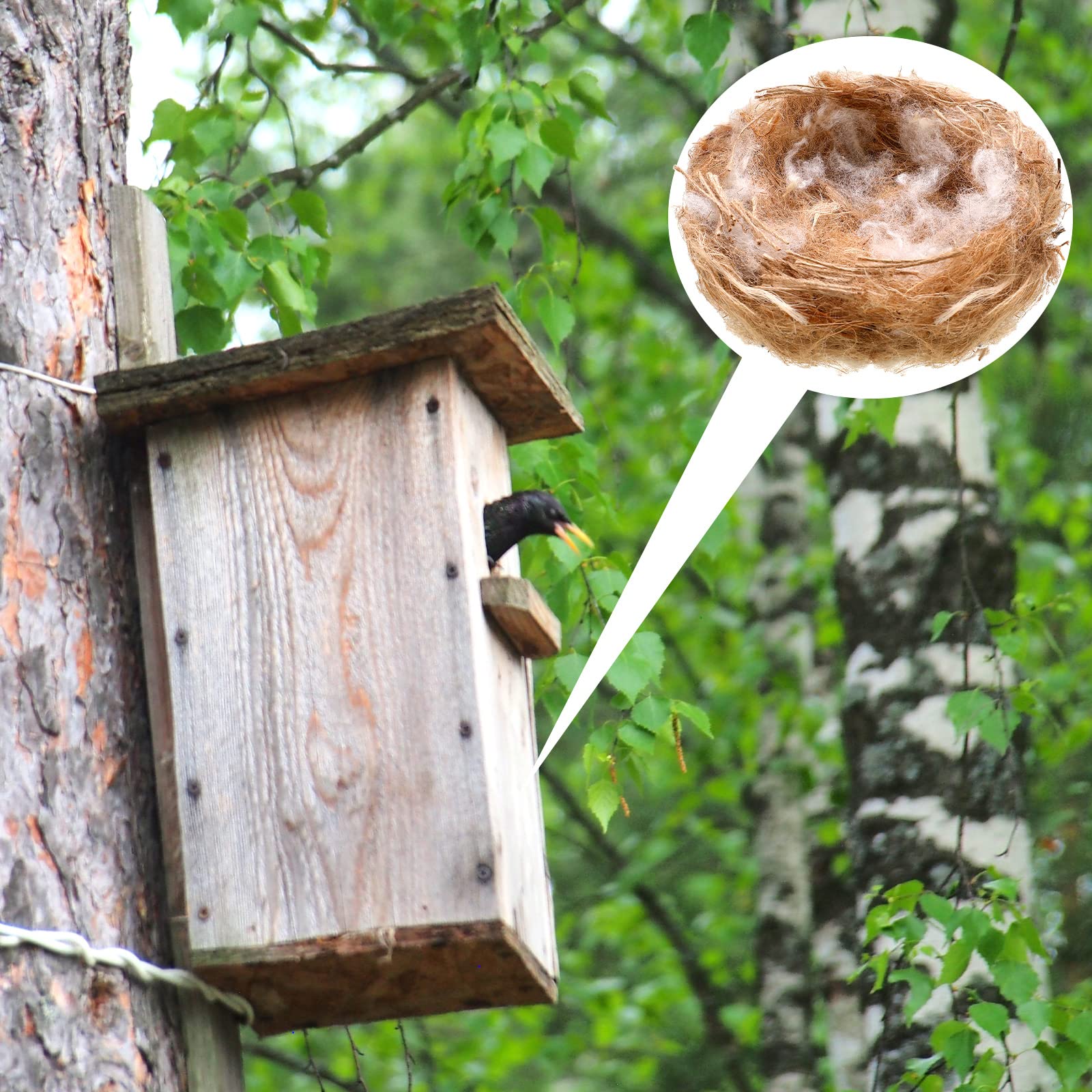 Amyhill-nido-para-jaula: crea un lecho suave y seguro para tus aves.