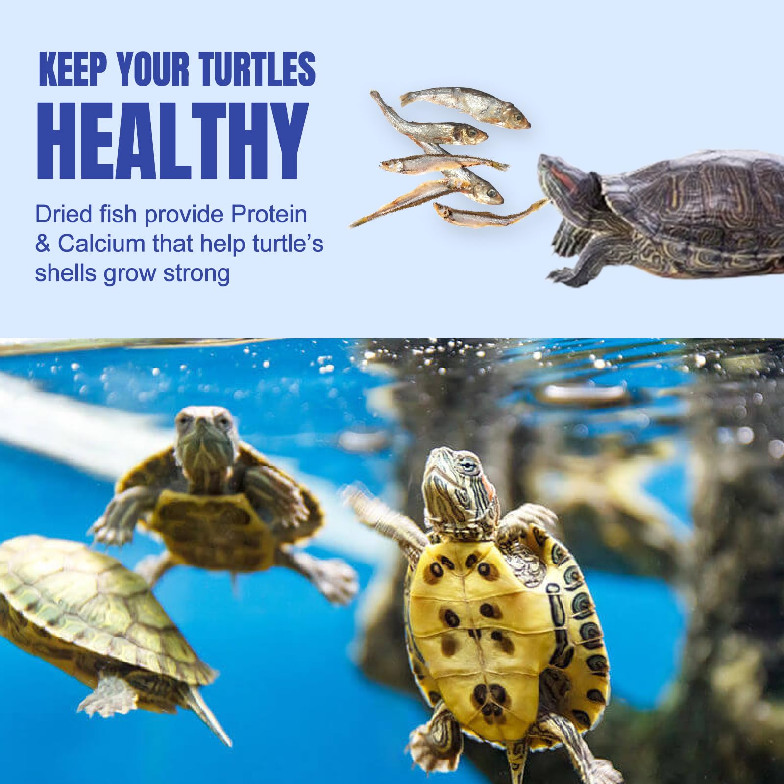 Alimentation aquatique grands poissons Amzey, idéal pour croissance et couleurs.