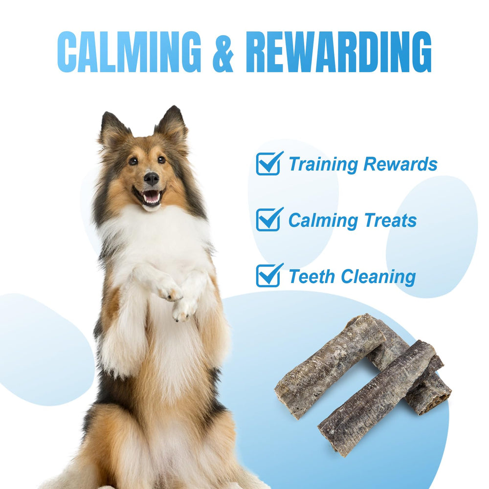 Amzey Cod Skin, brillo de pelaje, omega-3 y omega-6 para perros.