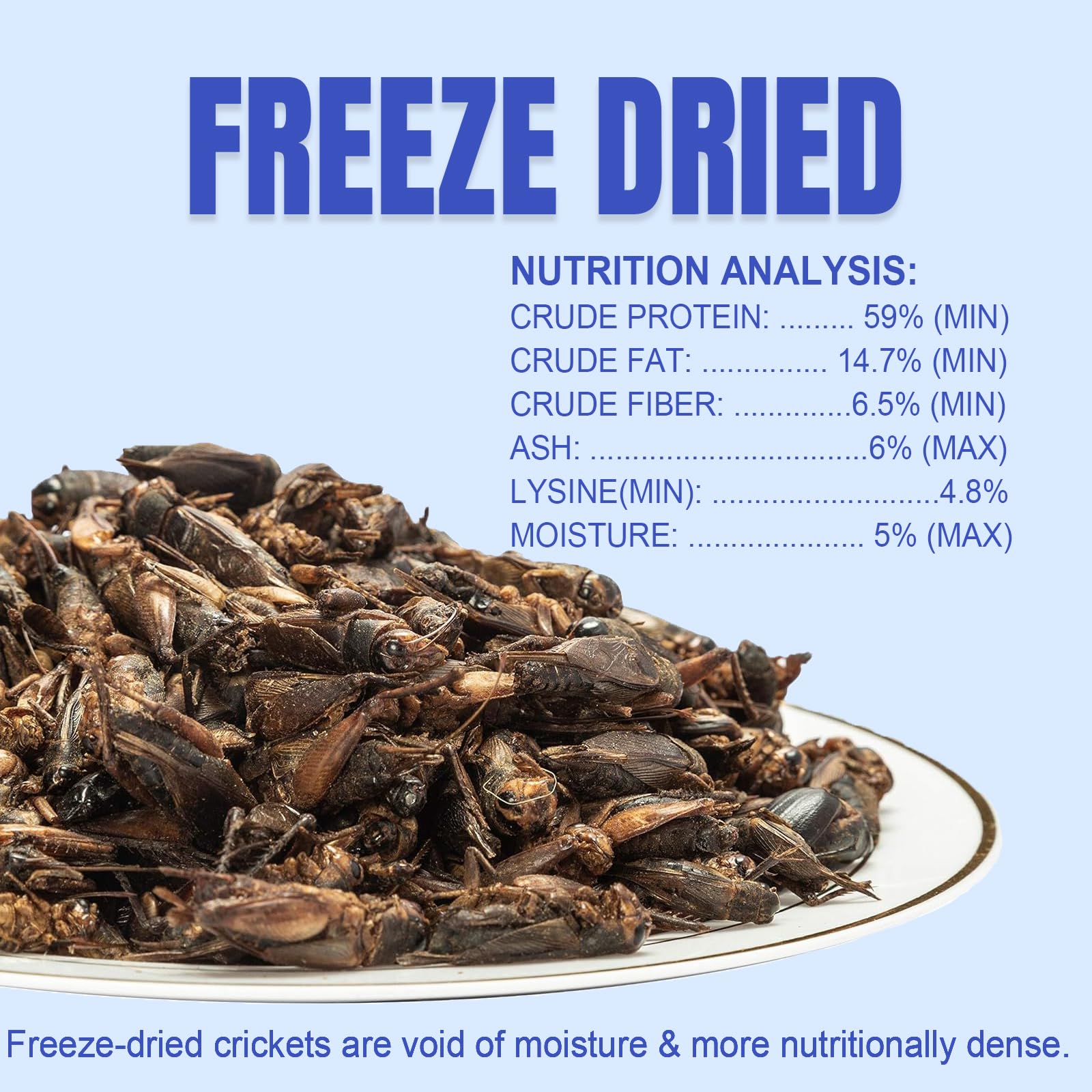 Amzey grillos deshidratados, snack proteico para aves