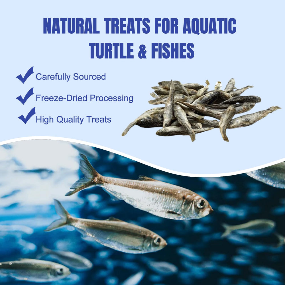 Nourriture naturelle poissons-seches Amzey, goût authentique et nutrition équilibrée.