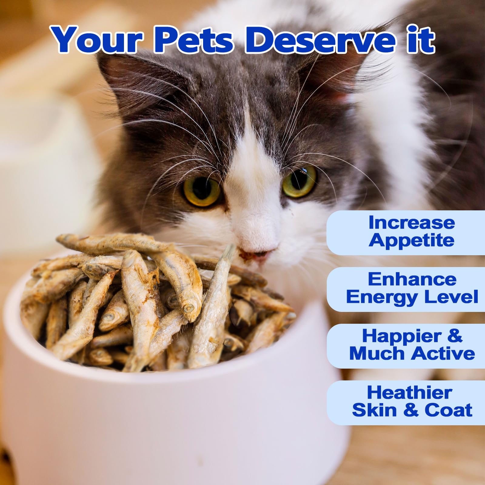 Amzey: pieza de alimento rico en proteína para perros y gatos.