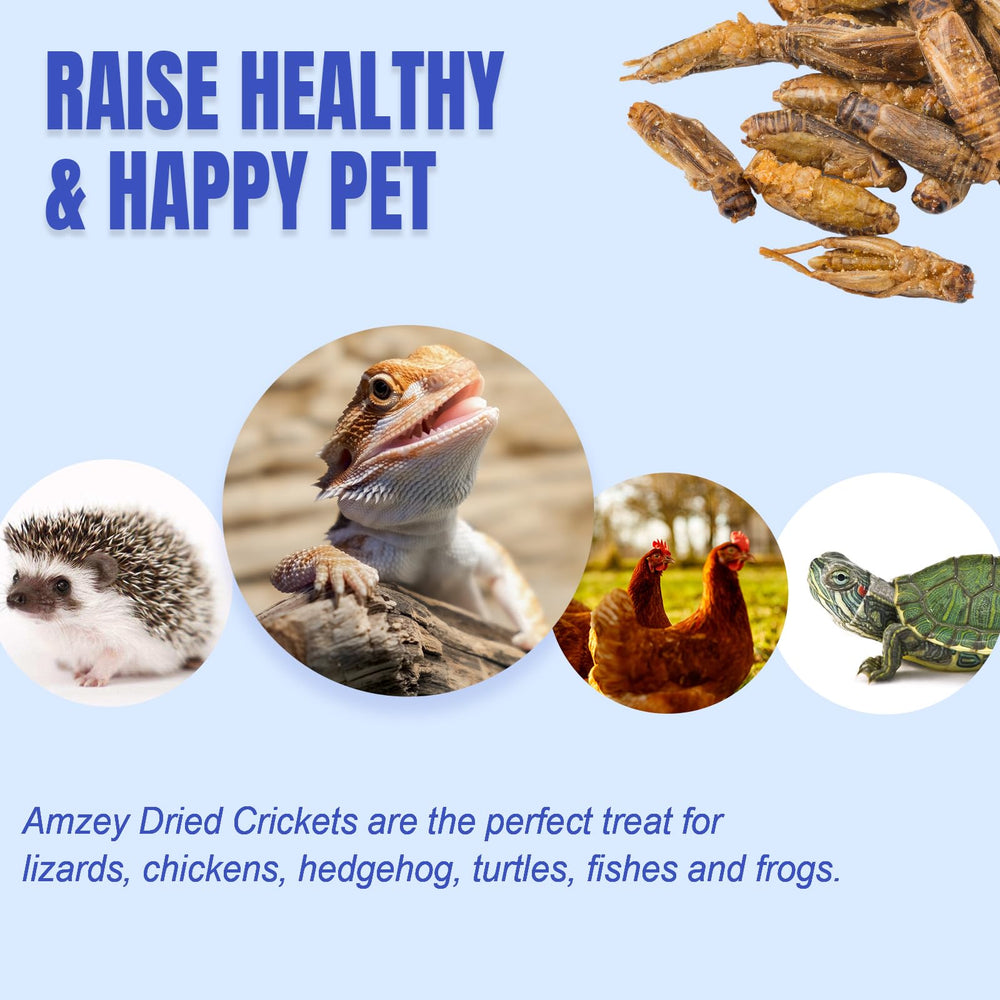 Amzey peces: alimento insectívoro para acuarios