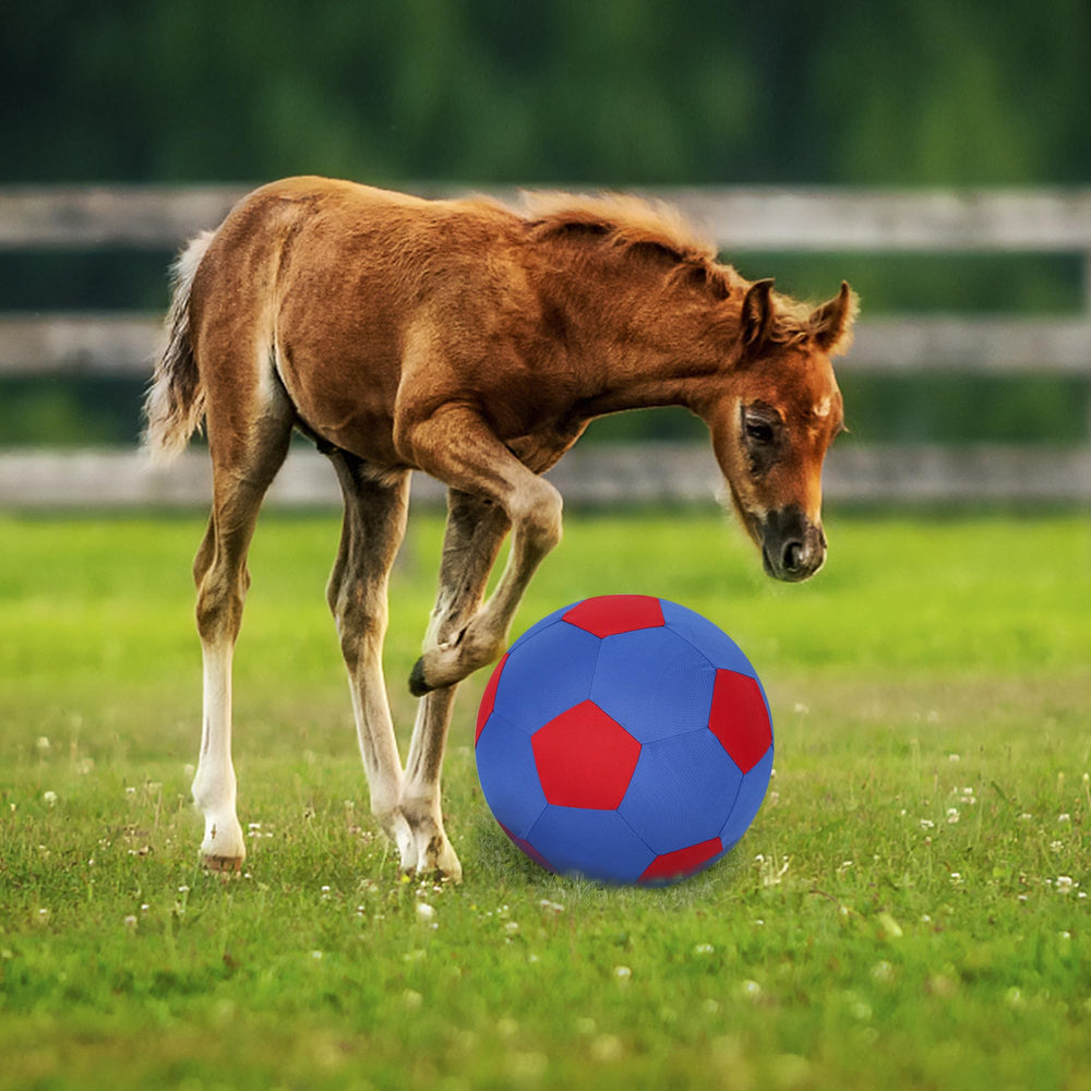 ANC POP Bomba manual para inflar la bola con comodidad.