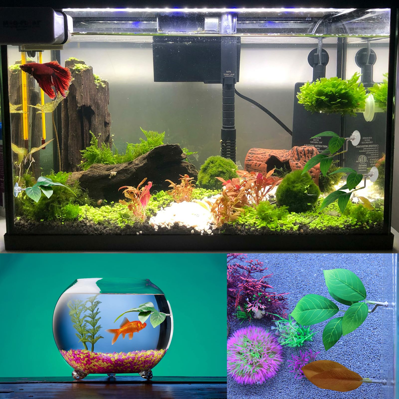 AncBace conjunto de hojas para descanso y desove de bettas.
